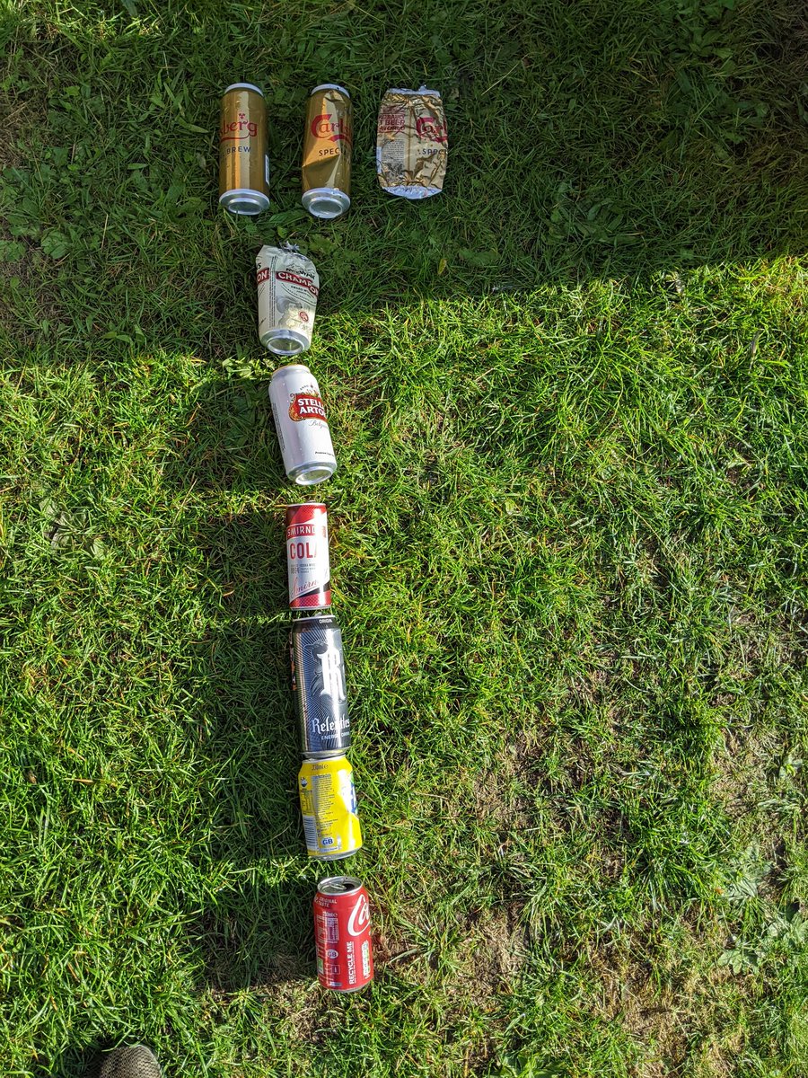 The winner this morning is <a href="/carlsberg/">Carlsberg</a> Special Brew with three cans thrown out of car windows. The litterers around my area like their beer strong. Maybe they are too sloshed to drive and keep their empties in the car 😕