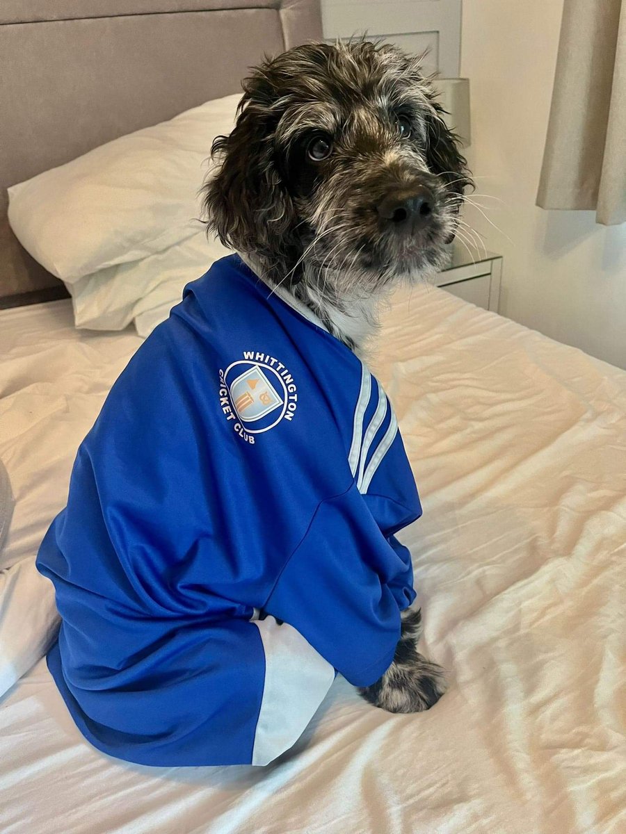 September's club mascot