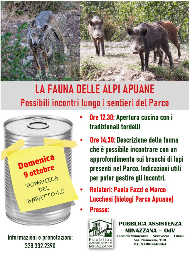 A calendario la domenica del BARATTO-LO del mese di ottobre. Argomento di sentita attualità per la nostra comunità: Come gestire  gli eventuali simpatici incontri con gli animali del Parco delle Alpi  Apuane.