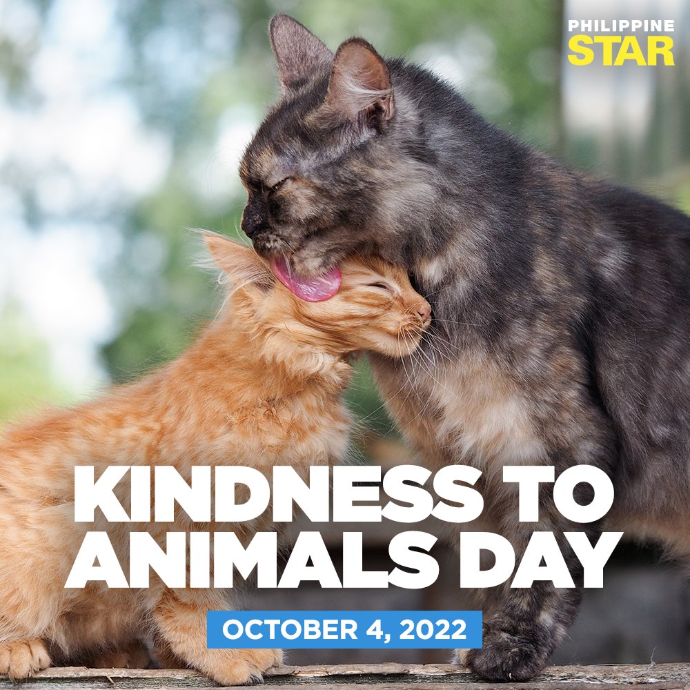 Today is #KindnesstoAnimalsDay. May we be forever reminded that we share the world with so many other creatures and we can coexist without hurting each other. #EndAnimalAbuse
