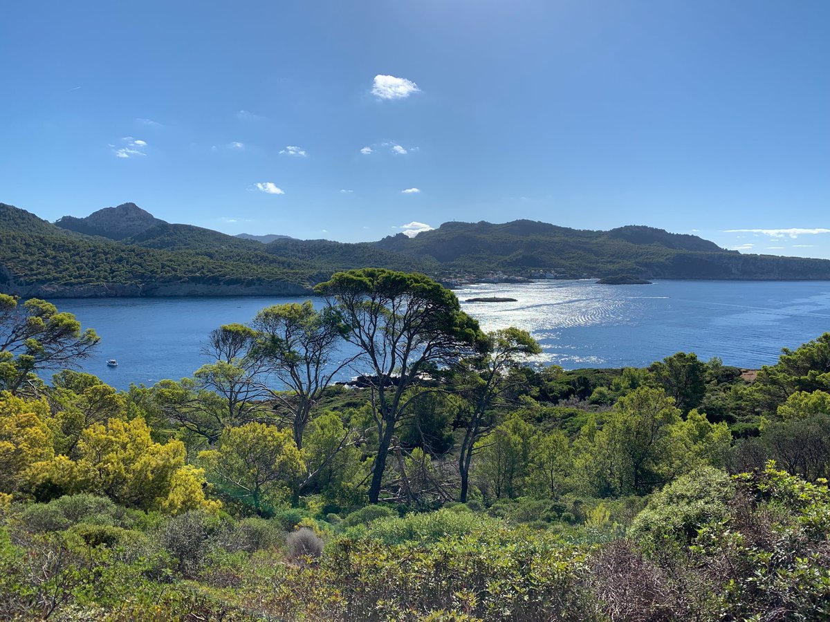 farmerswifelive's tweet image. Starting our workshop with the fun day 🥳🎉 

#workshop2022 #funday2022 #team #farmerswifeteam #mallorca #mallorcaisland #sadragonera #salamandras