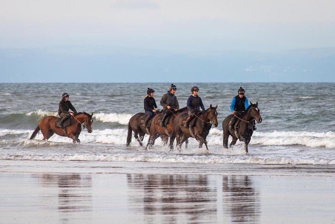RacehorseClub's tweet photo. Anybody else for a morning beach workout & paddle in the sea ๐ฃ๐ผ๐๐๐ฒ๐ฟ๐ ๐๐ผ๐ฟ๐ป๐ฒ๐ฟ clearly enjoying his work! ๐ฅถ #RacehorseClub #RhC #PottersCorner #HorseRacing @CWilliamsRacing https://t.co/zLK7W7AQTl