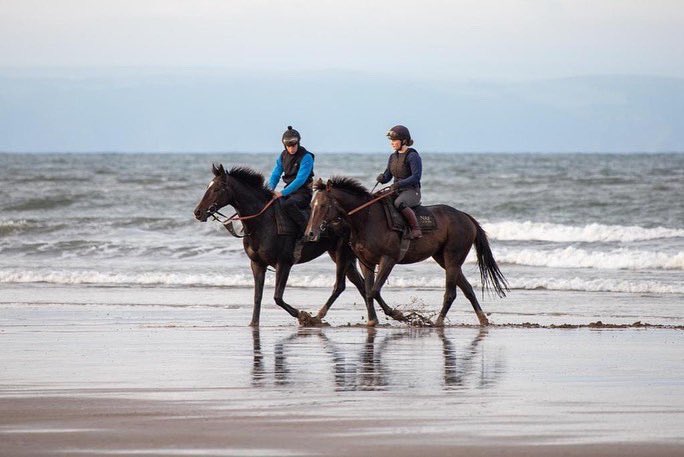 RacehorseClub's tweet photo. Anybody else for a morning beach workout & paddle in the sea ๐ฃ๐ผ๐๐๐ฒ๐ฟ๐ ๐๐ผ๐ฟ๐ป๐ฒ๐ฟ clearly enjoying his work! ๐ฅถ #RacehorseClub #RhC #PottersCorner #HorseRacing @CWilliamsRacing https://t.co/zLK7W7AQTl