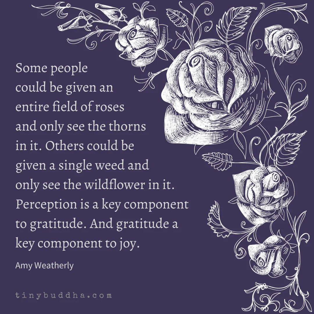 tinybuddha's tweet photo. "Some people could be given an entire field of roses and only see the thorns in it. Others could be given a single weed and only see the wildflower in it. Perception is a key component to gratitude. And gratitude a key component to joy." ~Amy Weatherly⠀ https://t.co/a12IfeFF51