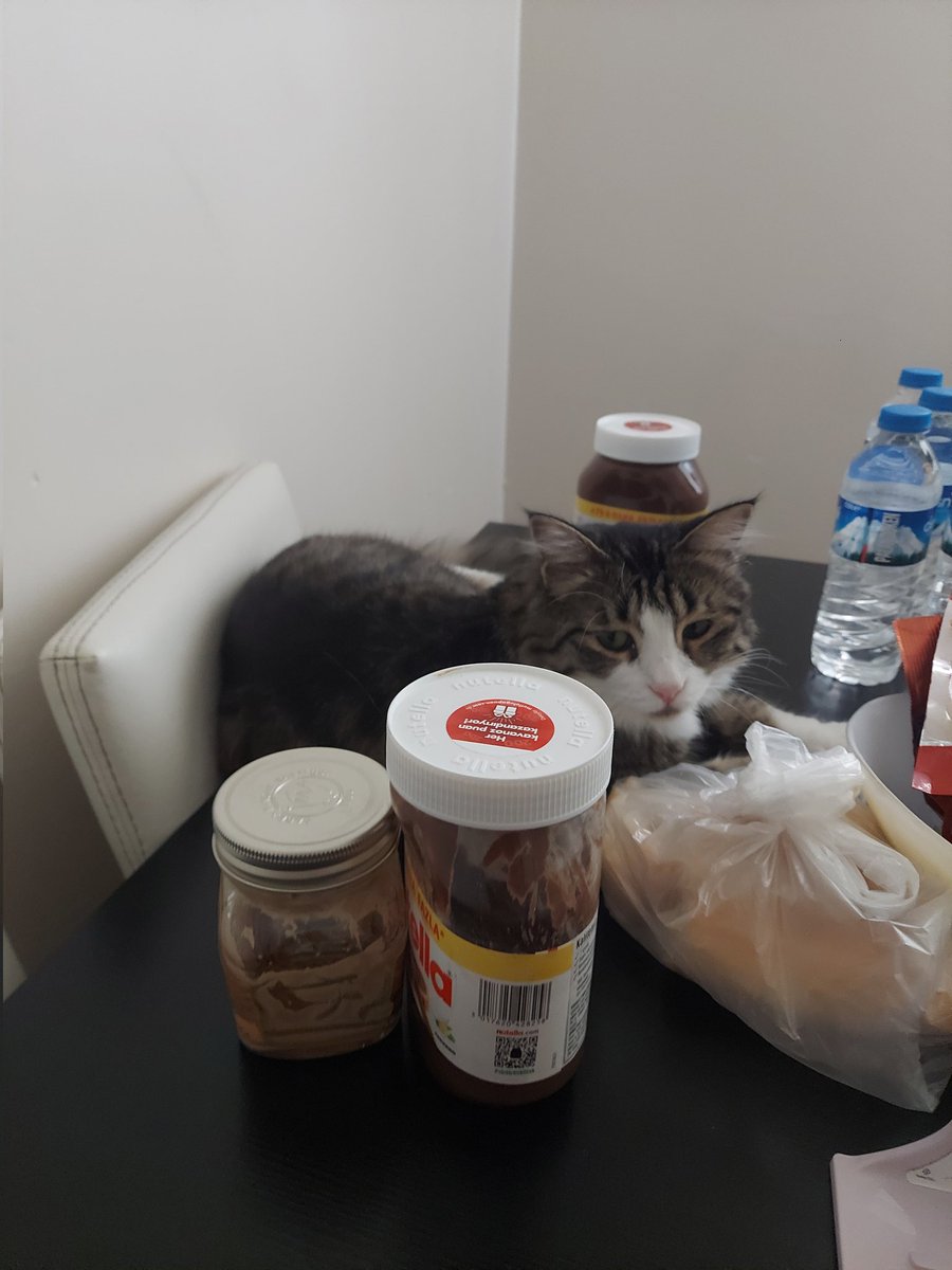 Diyetteyken Nutellaya attığım bakışın kameralara yansıması