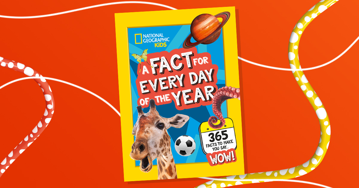 Collins4Parents's tweet photo. #Giveaway Time!
Win one of 7 copies of A Fact for Every Day of the Year.
To enter: make sure you're following
@Collins4Parents & retweet or reply to your favourite tweet from this thread. Which fact did you like best?
T's & C's: https://t.co/cy5Dktu0Ze
#FactEveryDayOfTheWeek https://t.co/Vsv3URmxJF