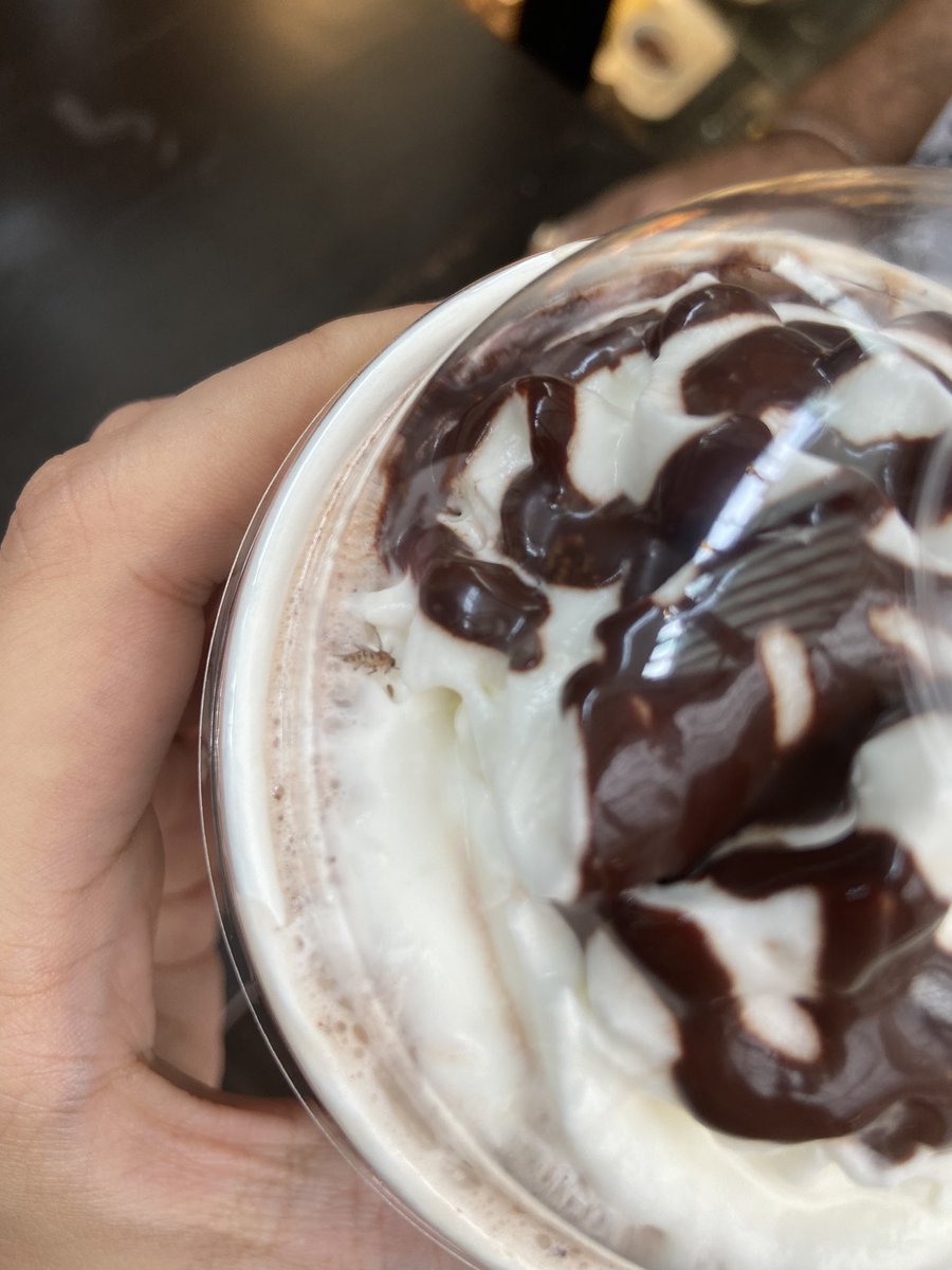 Tweeshajain's tweet photo. There’s a new scheme at @StarbucksIndia
“An insect free with your coffee”
Clearly no quality control or hygiene is being maintained at the @OberoiMall store
@TataCompanies
#DisappointedConsumer #poorcustomerservice @BandBajaateRaho https://t.co/Q6Evijs3ax