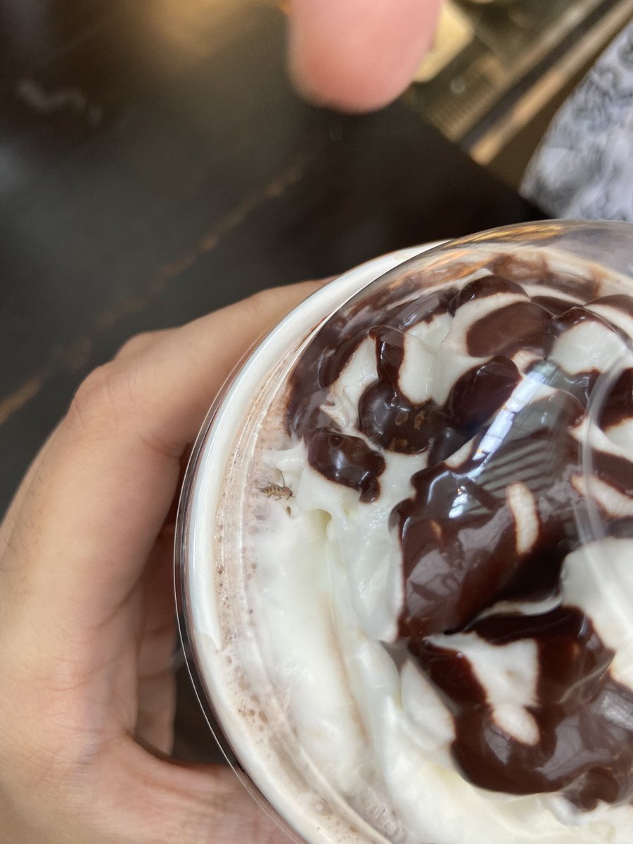 Tweeshajain's tweet photo. There’s a new scheme at @StarbucksIndia
“An insect free with your coffee”
Clearly no quality control or hygiene is being maintained at the @OberoiMall store
@TataCompanies
#DisappointedConsumer #poorcustomerservice @BandBajaateRaho https://t.co/Q6Evijs3ax