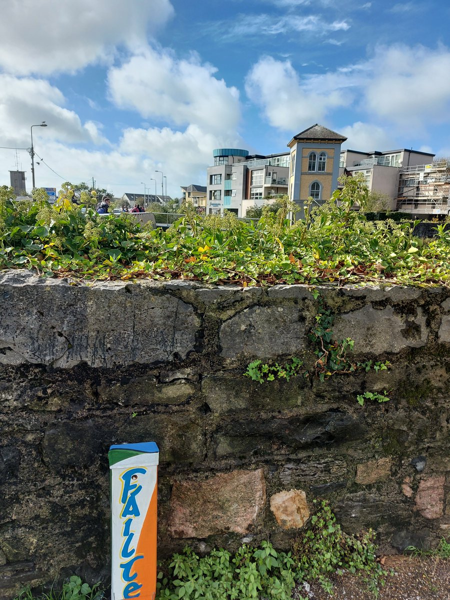 galwayswestend's tweet photo. Fáilte / Welcome 💚 Cross the bridges to Galway's Westend and feel that warm welcome for yourself!
#GalwaysWestend #CeadMileFailte #IrishWelcome #Ireland #Galway #ThisIsGalway https://t.co/ZxyfGxic2K