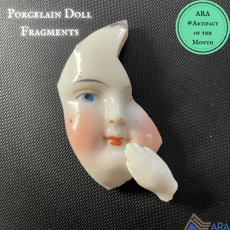 ARA Archaeology tweet media