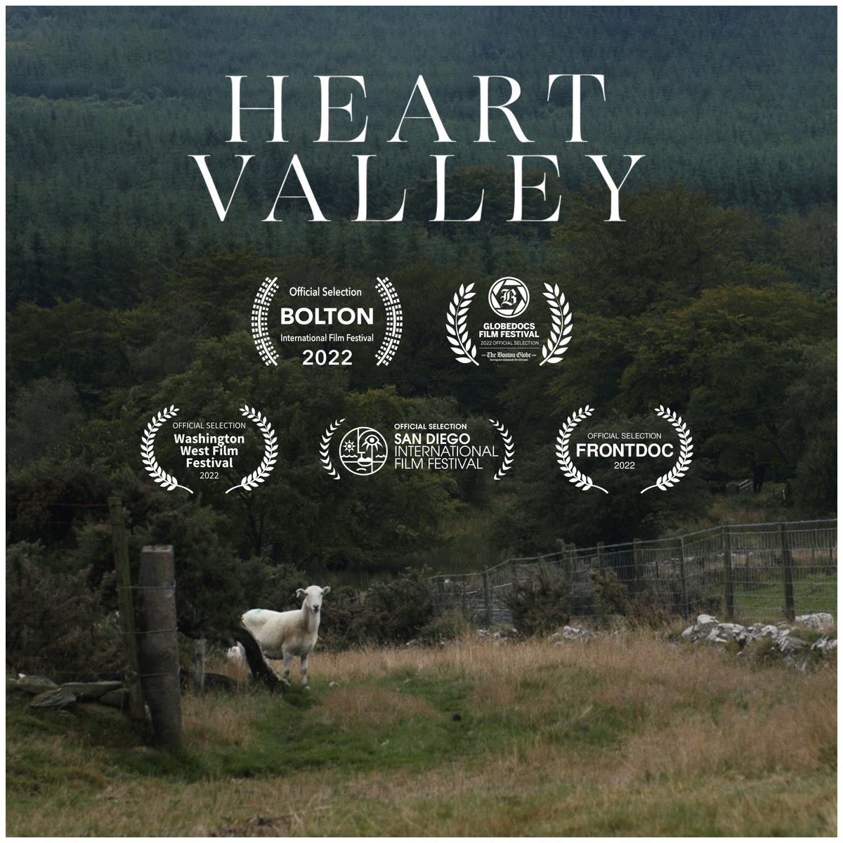 christiancarg's tweet photo. Heart Valley is going back on the road this month from Bolton to Boston.
Official Selection – October:
📽🇬🇧 Bolton Film Festival, UK
📽🇺🇸 GlobeDocs Film Festival, US
📽🇺🇸 San Diego Int'l Film Festival, US
📽🇮🇹 FrontDoc, Italy
📽🇺🇸 Washington West Film Festival, US
#HeartValley https://t.co/n7YIjrZ1Kw