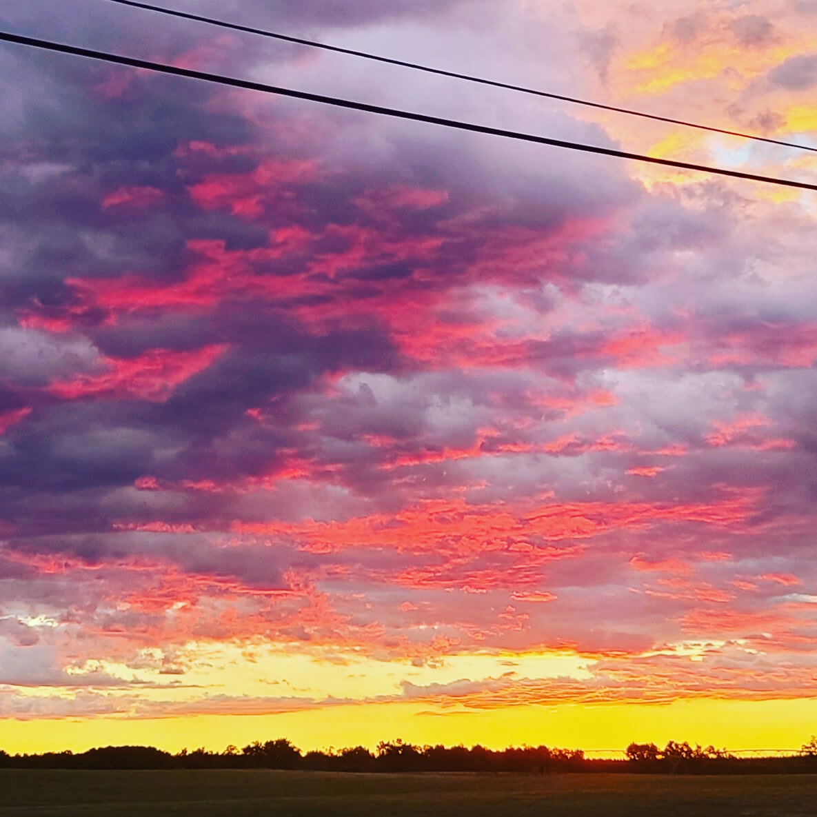 God's artwork on Friday!