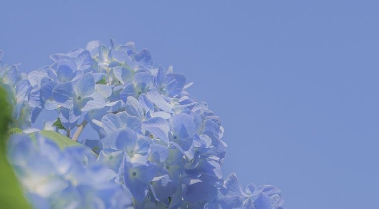 OceanWaves_AKI's tweet photo. 𝐓𝐡𝐞𝐫𝐞 𝐰𝐨𝐧'𝐭 𝐛𝐞 𝐚 𝐰𝐚𝐲 𝐛𝐚𝐜𝐤 𝐟𝐫𝐨𝐦 𝐭𝐡𝐢𝐬 𝐣𝐨𝐮𝐫𝐧𝐞𝐲.

   จุดชี้แจง ➥ https://t.co/HHxj5b3dy6 https://t.co/3uZFtbDGF4