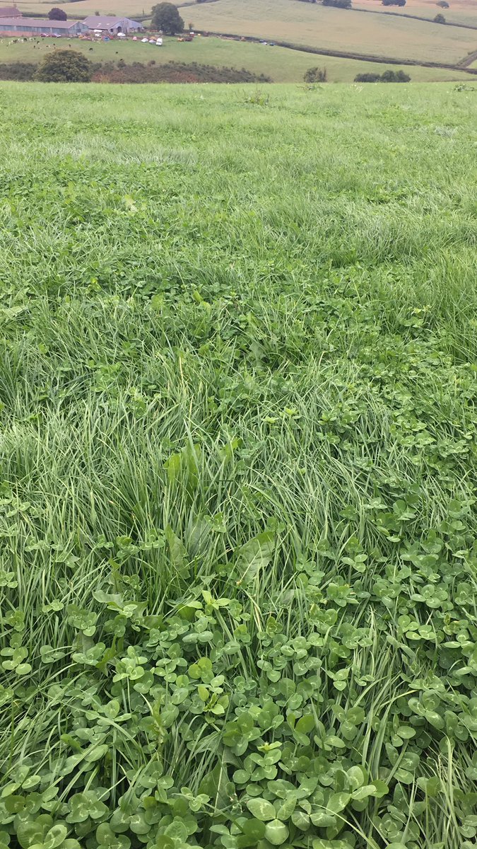 Last round starts tonight