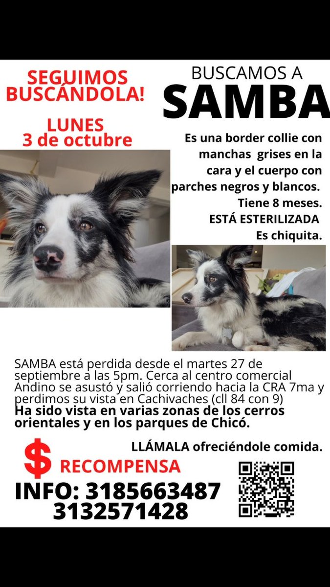 #BUSCAMOSaSAMBA #SOS🚨🚨🚨 🔊Por favor vecinos de la zona de Chico Reservado, Chico Norte y la 100 hacia el Norte, Unicentro, Parqué Virrey, seguir atentos. Fue vista en manos de un joven venezolano.