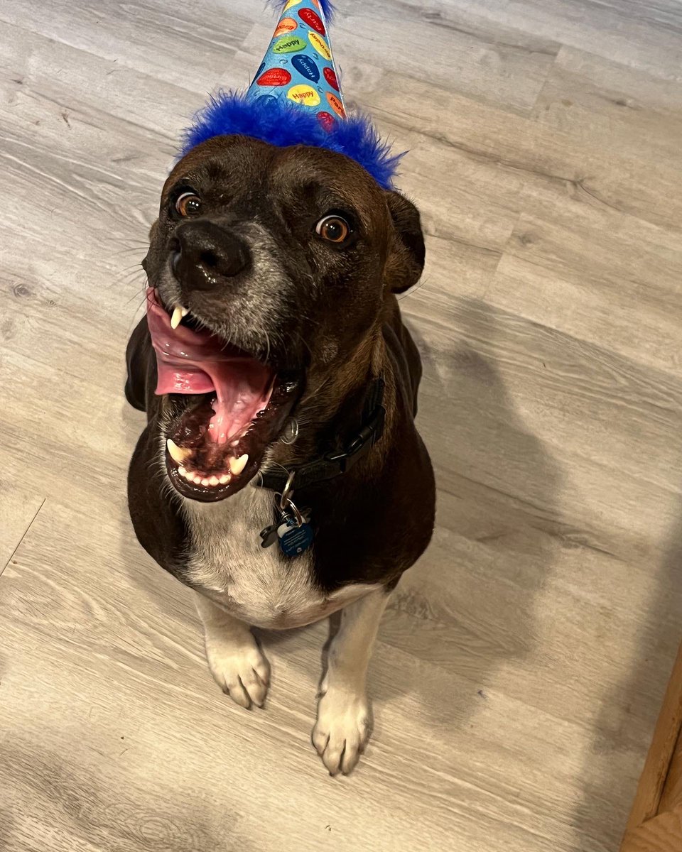 russellrd tweet media