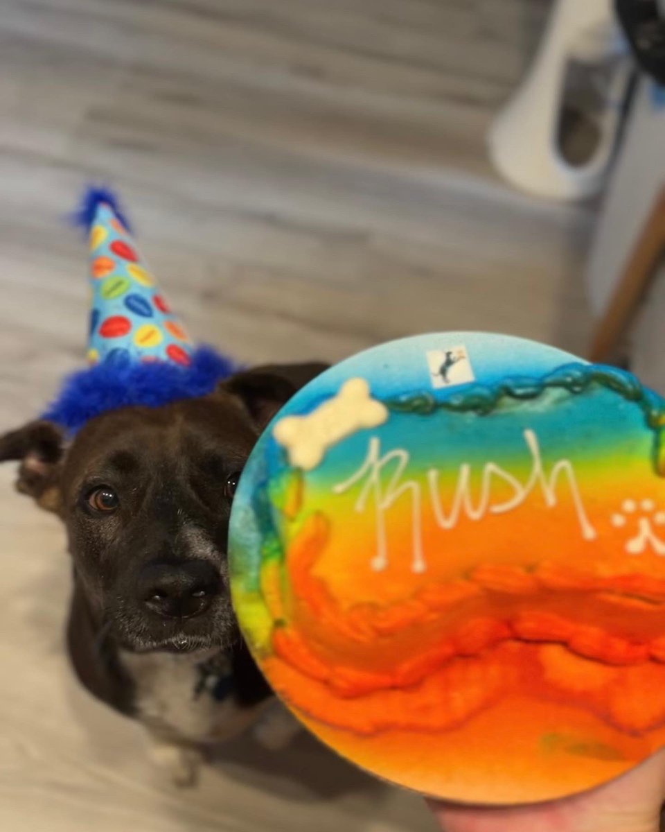 russellrd tweet media