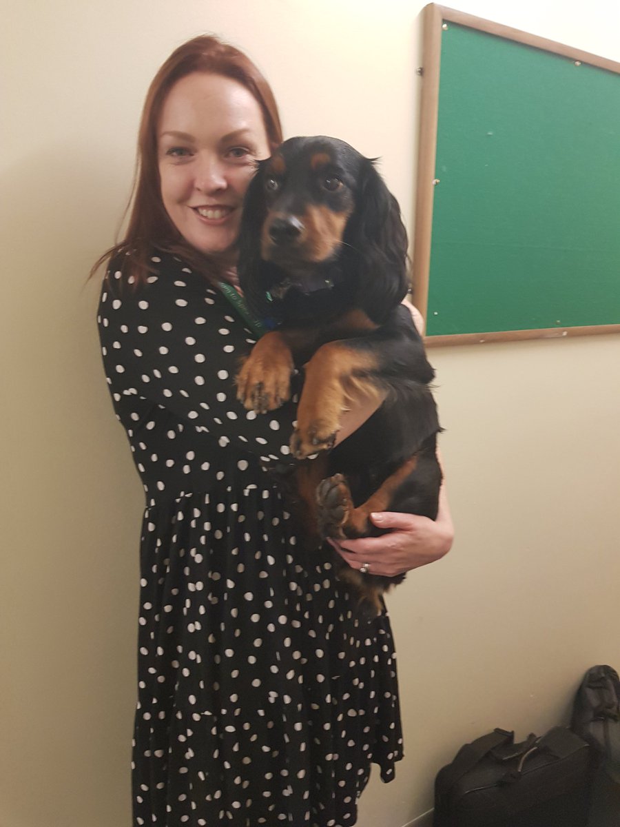 I had cuddles from the Freedom to Speak Up humans when they were doing their rounds in the CIC Education Centre today 🐾🐾
<a href="/NCICNHS/">North Cumbria Integrated Care NHS Foundation Trust</a> <a href="/NCIC_staff_HW/">NCIC Staff Health and Well-being</a> <a href="/AmandaKSutton/">Amanda Sutton</a>