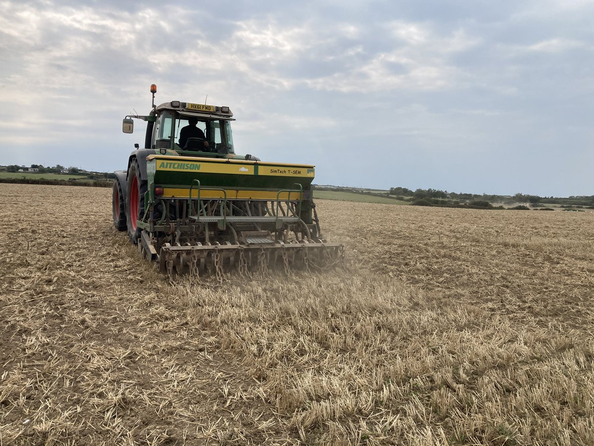 Grow Wales Green is looking to find new solutions to reduce dependence on importing protein feed and N fertilizer by growing more 'Green Protein' crops.
The project is working with three Welsh farms who are developing their systems to grow protein crops.