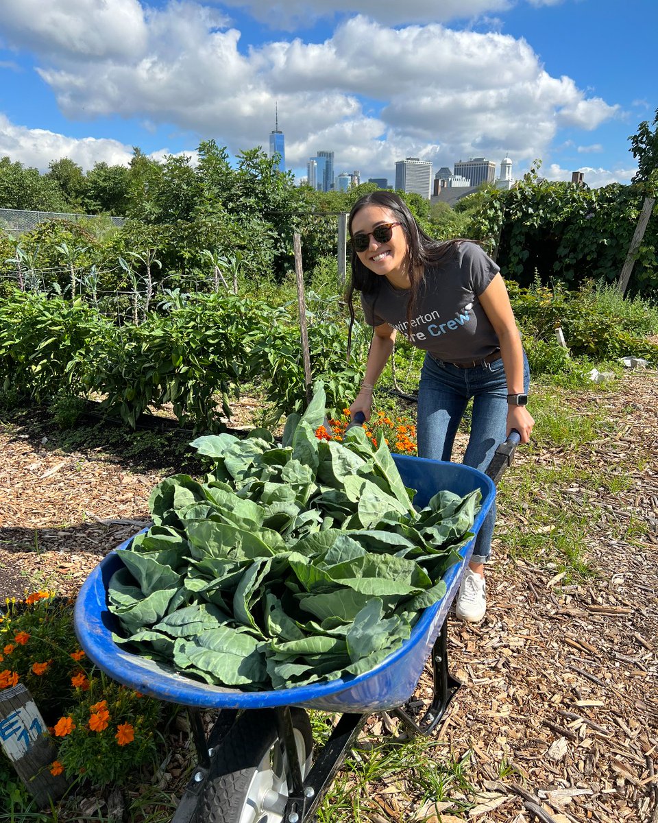 swinerton's tweet photo. What an inspiring day working alongside @GrowNYC at their Teaching Garden on Governors Island.

#SwinertonCares #SwinertonNYC #BuildTheEast #CommunityBuilder https://t.co/ZsJh7WWd61