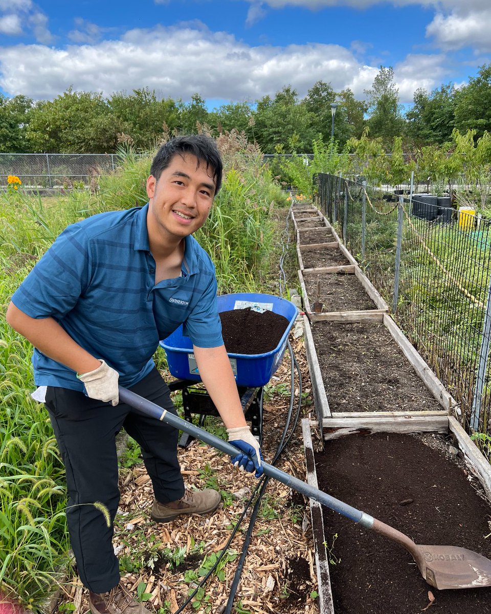 swinerton's tweet photo. What an inspiring day working alongside @GrowNYC at their Teaching Garden on Governors Island.

#SwinertonCares #SwinertonNYC #BuildTheEast #CommunityBuilder https://t.co/ZsJh7WWd61