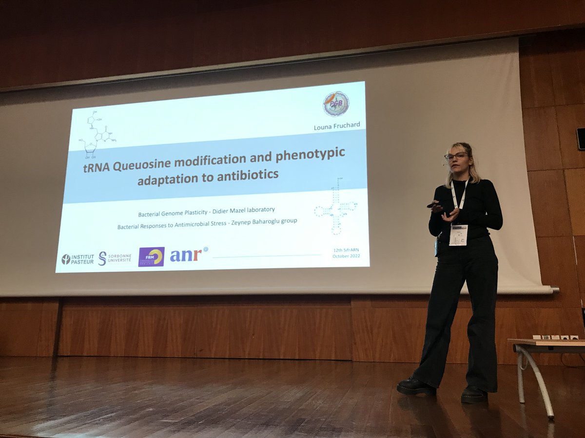 Louna Fruchard (Institut Pasteur, Zeynep Baharoglu group, Didier Mazel lab) #Translation control #SifrARN2022