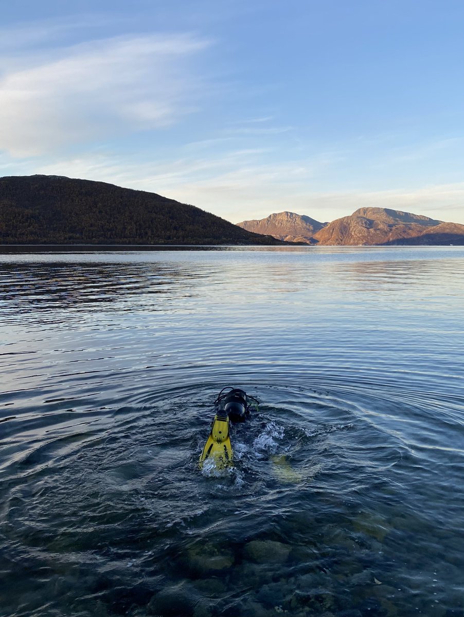 charmatthews_'s tweet photo. Had my first dive in the Arctic this past weekend! 🥶🤿 Also so happy to be back at @UiTNorgesarktis on an @EUErasmusPlus study exchange for the semester! https://t.co/moWBHEBFhT