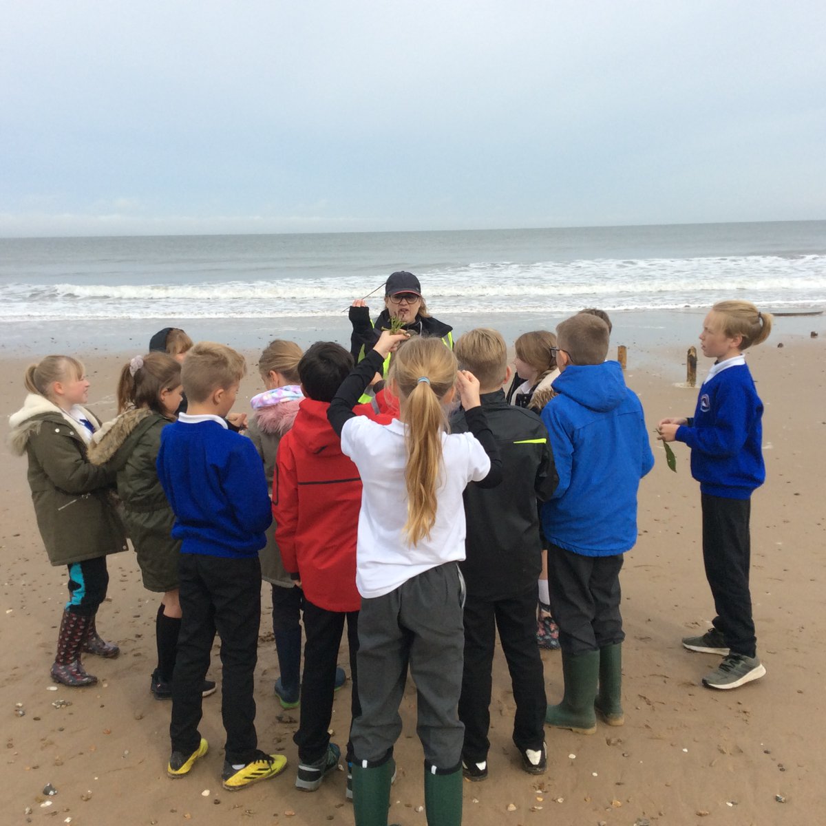 NectonY6's tweet photo. Year 6 had a fantastic day at Holme Dunes @NorfolkWT  consolidating our learning all about the tides, waves, coast erosion and the different habitats that the can be found in the reserve.
#nectonloveslearning https://t.co/F9tELwYA0M