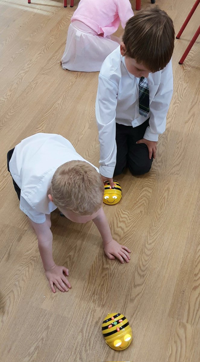 Practising our French conversation skills with the Upper Juniors and programming beebots with our own algorithms 🐝 @bolton_deborah
