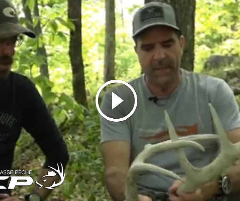 acpnation's tweet photo. Michel Therrien – Domination territoriale des bucks chevreuils matures
LIEN: https://t.co/QmoarLjA3v
#browning #xbolt #naturelife #photooftheday #photographer #photography #chasse #chasseur #deerhunting #deerhunter https://t.co/CGyBKScnml