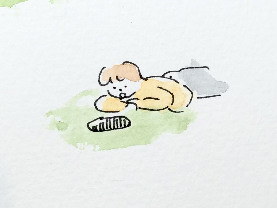 すってんころりん 