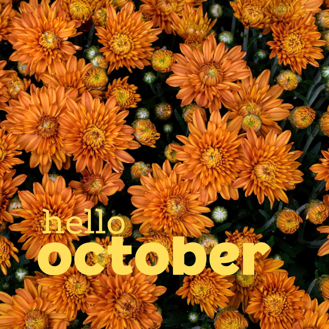 Hello Octoberl! Strive's Monthly E-Blast - mailchi.mp/6c04044c32b9/h…