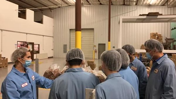 NMDeptAg's tweet photo. THIS IS WHAT WE DO: @NMDeptAg Marketing staff hosted buyers from Korea the week of Sept. 19 during a Dried Fruit &amp; Nut Inbound Trade Mission. The group visited @stahmanns pecan orchard in La Mesa, New Mexico. https://t.co/ixdzXAugDs