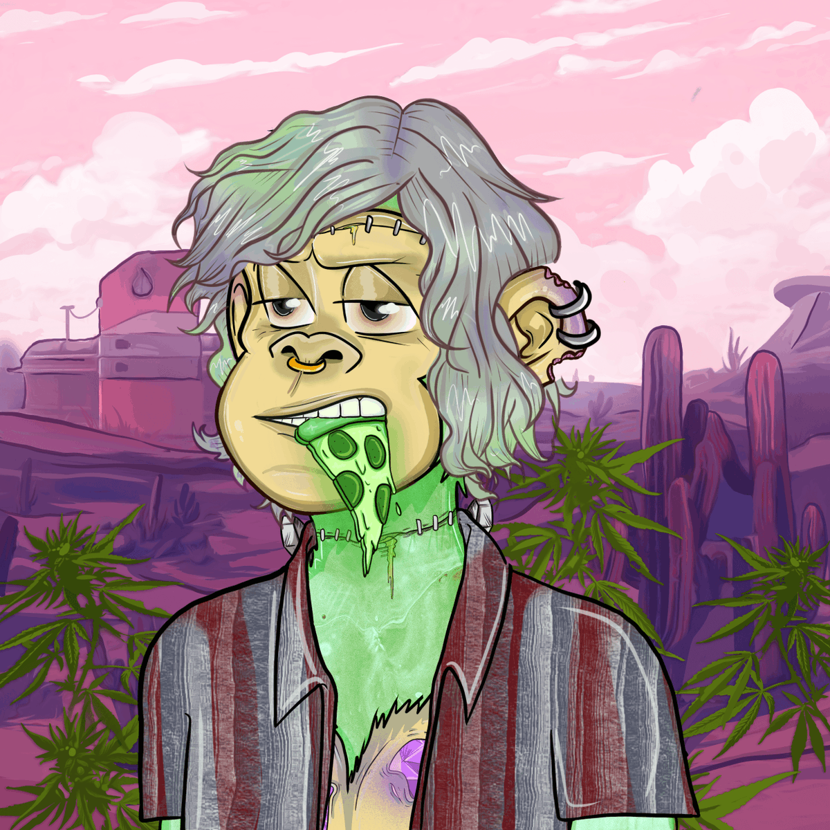 PVCrypto85's tweet photo. As we approach almost a year of the @StonedApeCrew greatness and everything they have accomplished in this space. They continue to build pushing forward with @payleaf and now @PeeplNft to change the game
π€ @pfo_sac @stoner0015
#Puff #Payleaf #PeeplTime #SAC #NAC https://t.co/up6T6Jmz8x