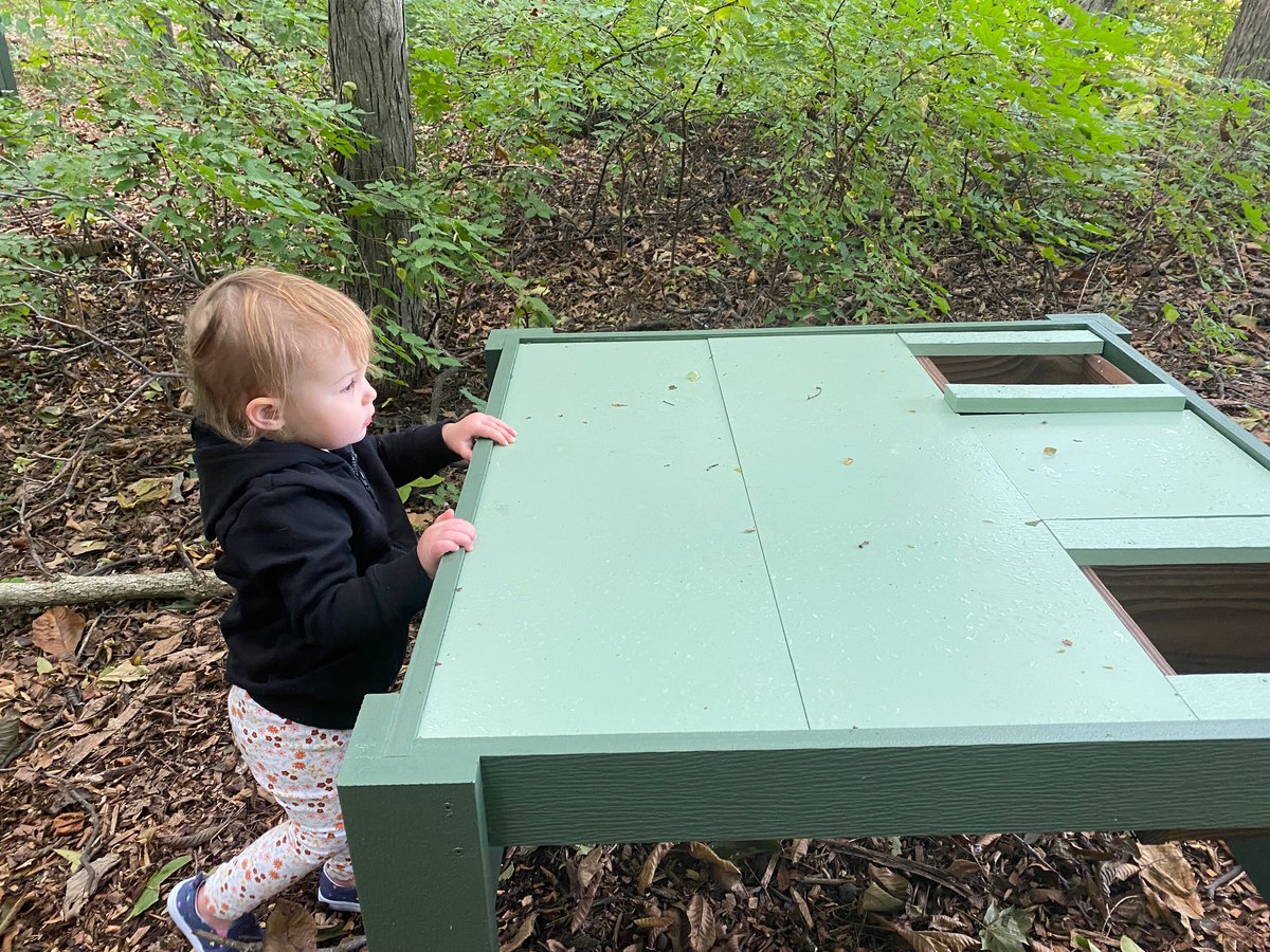 treesindiana's tweet photo. Toddler Approved! Ten NEW tables have been placed in the Nature Explore outdoor classroom @Cedar Canyon Elementary. Thank you @Huntertown Woodworkers for your amazing work and support!! You guys rock😃 https://t.co/69pNtrtSVz