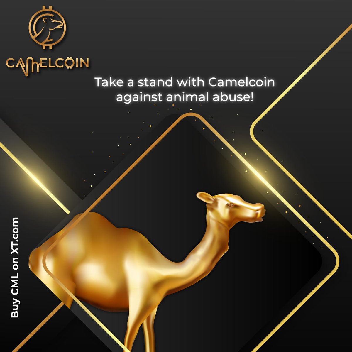 CamelcoinThe's tweet photo. Take a stand with Camelcoin against animal abuse!

#camelcoin #awardwinning #cardano #camels #sahara #hodl #kripto #CML $CML #crypto #income #altcoin #hasheur #humpday #BTC https://t.co/JoJ0q0VBxS