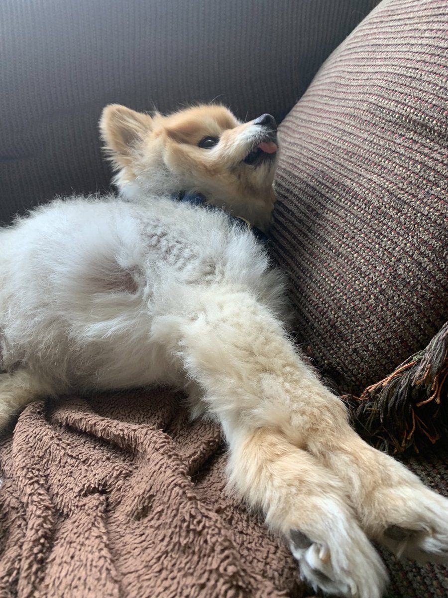 verysharpelbows's tweet image. wait here’s another really good pic from last time I saw him