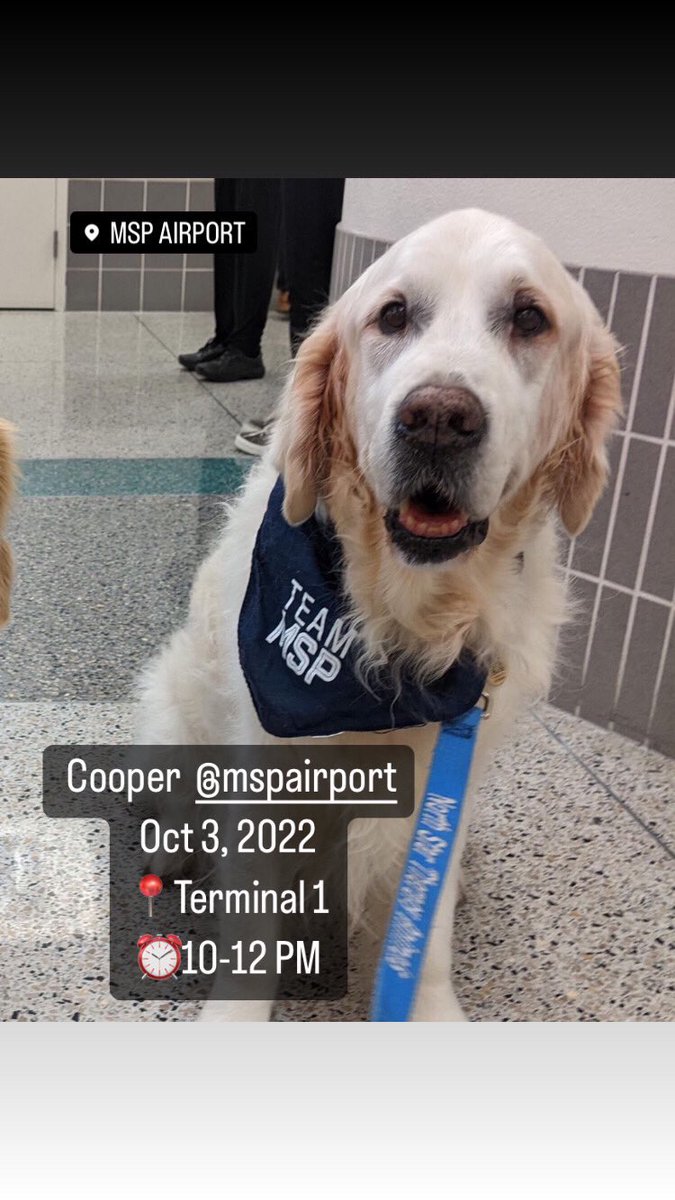 APTherapyDogs's tweet photo. Happening this Monday Oct 3, 2022
At @mspairport
Terminal 1 for scratches and belly rubs.
β°10-12 today.
#airporttherapydogs #FlyMSP #DogsofMSP
Photo - sleepycooperdog https://t.co/L6k7QUsg9H