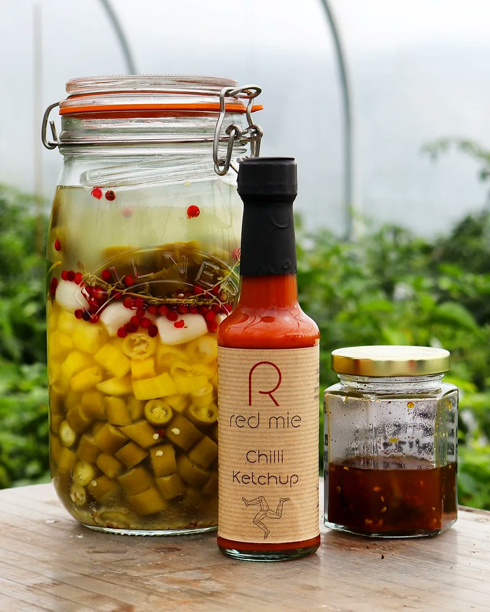 Dozens of chili varieties, one polytunnel, and a husband-wife team. A recipe for a homestead business success story! 🌶 Definitely check out <a href="/RedMieIOM/">Red Mie</a> and keep an eye out for a YT video with them soon #isleofman #Farming