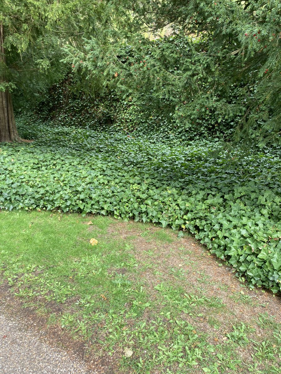 sharon1923 tweet media