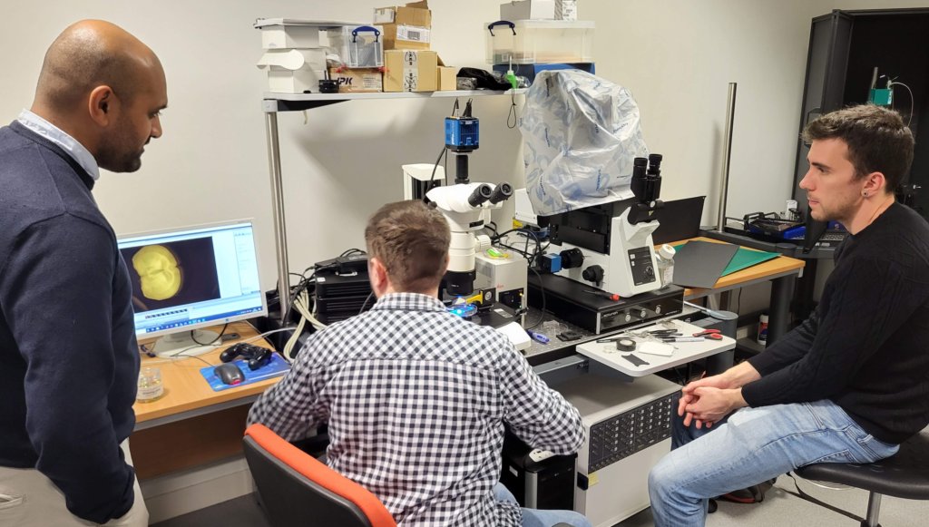 TouchLab_UCL tweet media