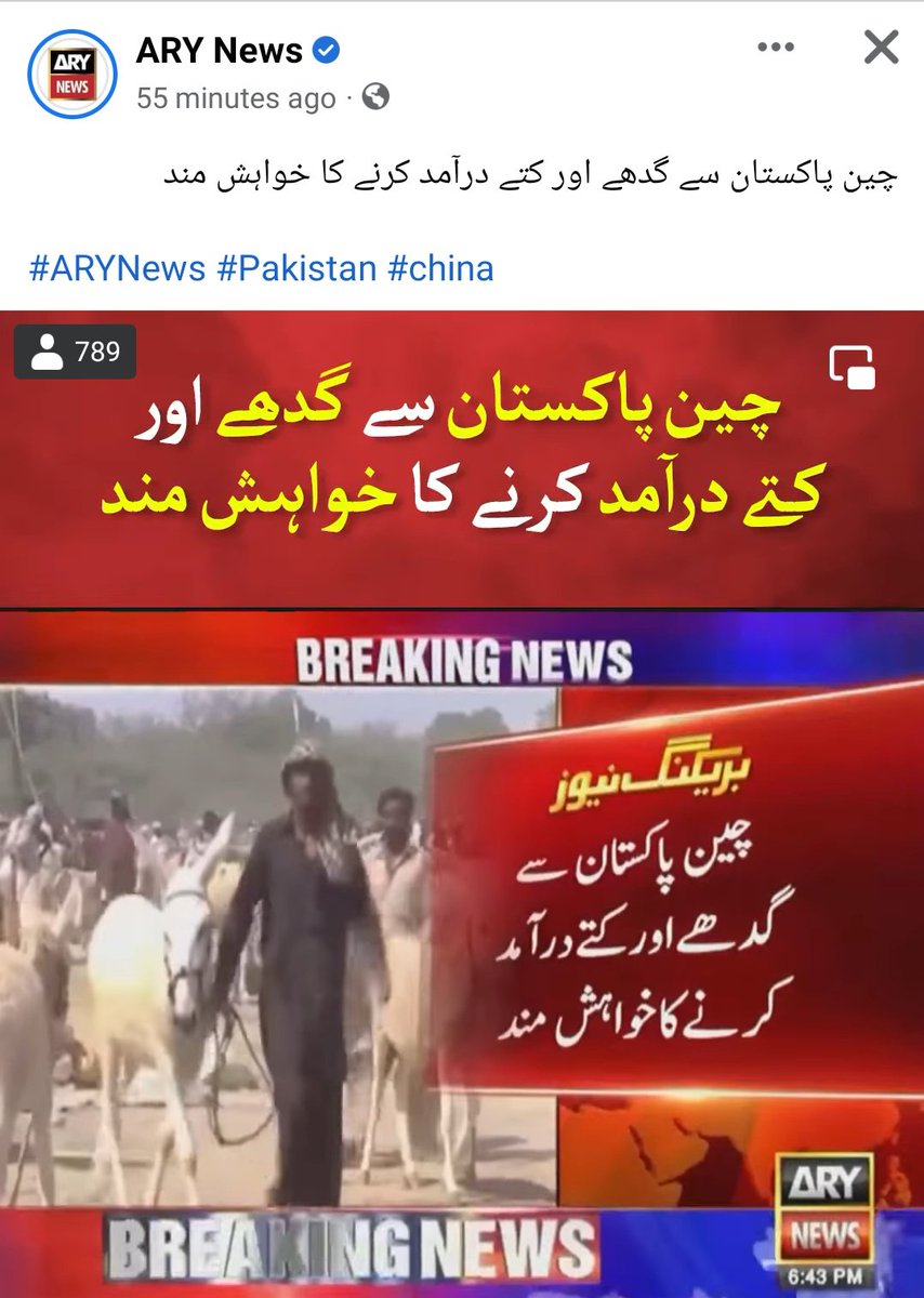 Sajdil's tweet photo. یہ بھی بہت گھما کے بات کرتے ہیں 
سیدھا سا بولو کے پٹواری چاہییں 

لگتا ہے یہ ن لیگ ختم کرنا چاہتے ہیں 😟 https://t.co/0C6JXBX7Sk