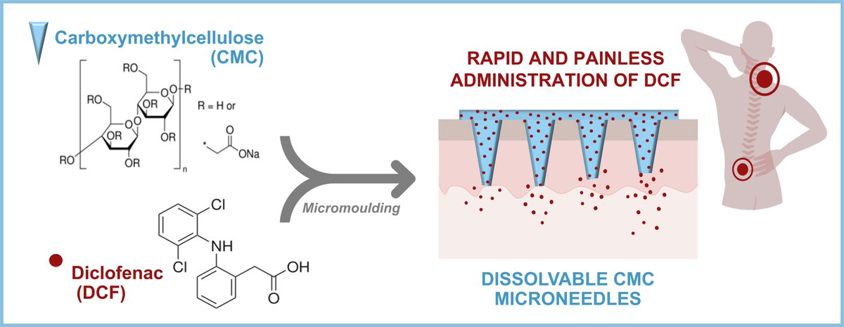 Check out our latest paper on Macromolecular Bioscience about the developement of dissolvable carboxymethylcellulose microneedles for non-invasive and rapid administration of diclofenac sodium.

onlinelibrary.wiley.com/doi/epdf/10.10…

#cellulose #microneedles #biopol4fun #CICECO