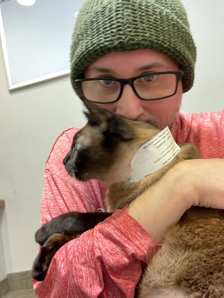 thecinemasnob's tweet photo. Big Lloyd is back home and feeling well! Special thanks to the wonderful people at Arboretum View hospital who treated his kidneys and gave him such amazing care and treatment, and letting us visit every day! https://t.co/PyeCQ44BME