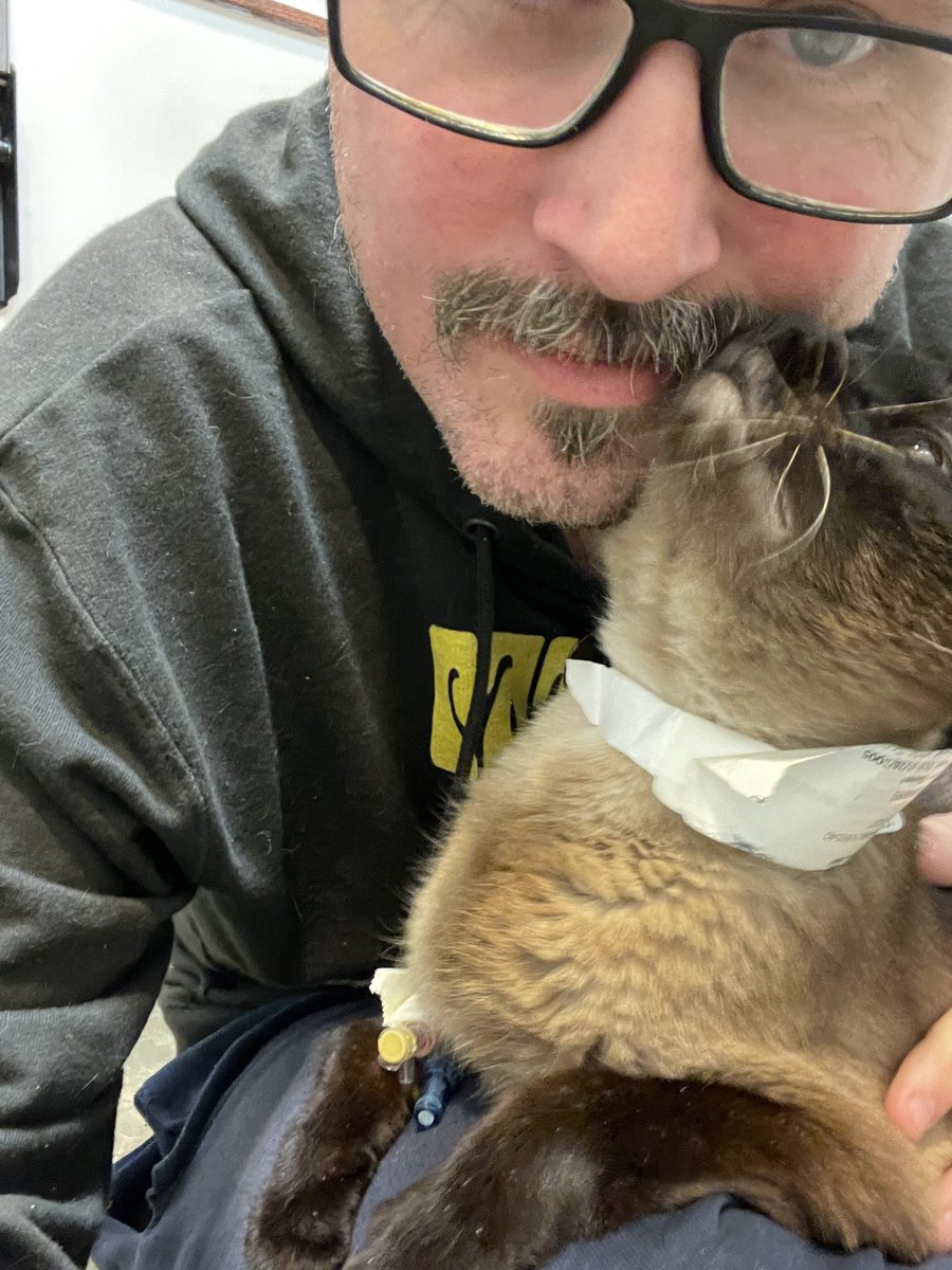 thecinemasnob's tweet photo. Big Lloyd is back home and feeling well! Special thanks to the wonderful people at Arboretum View hospital who treated his kidneys and gave him such amazing care and treatment, and letting us visit every day! https://t.co/PyeCQ44BME