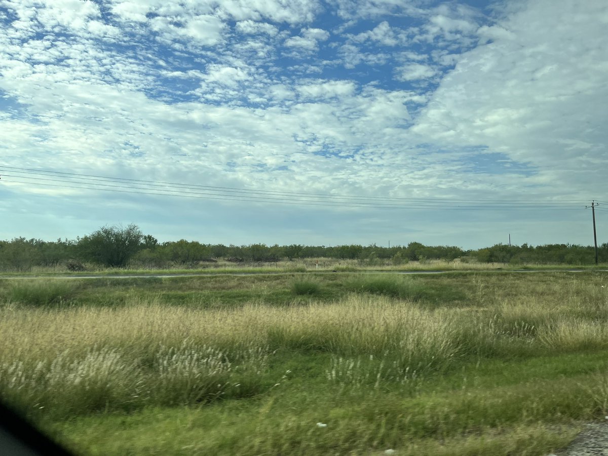 amywfischer's tweet photo. Driving down to the border to witness Operation Lone Star over the next few days. I’m here to witness the cruelty of OLS and the bravery of those resisting. Follow along with me! #WitnessOLS https://t.co/t83R0LlRgT