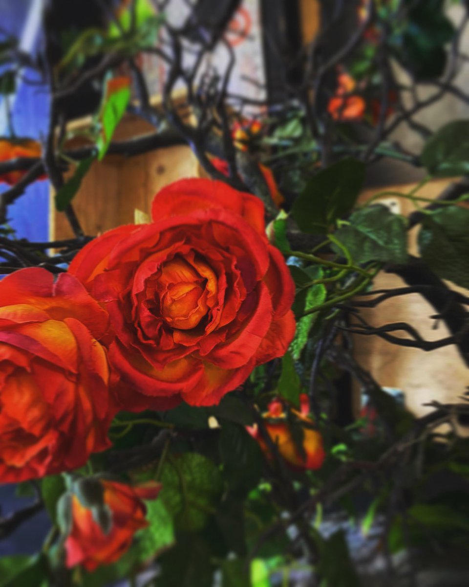 glforward_'s tweet photo. Wakey wakey! It’s the first day of @New_Adventures Sleeping Beauty rehearsals 🌹 💤 https://t.co/YruhrRhS8A