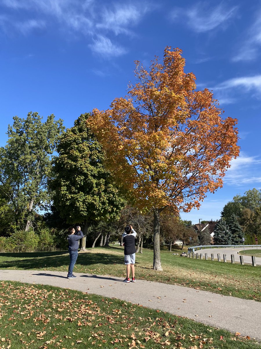 Amanda Frederick tweet media