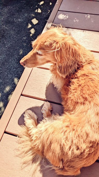 気持ちよさそうチャス 