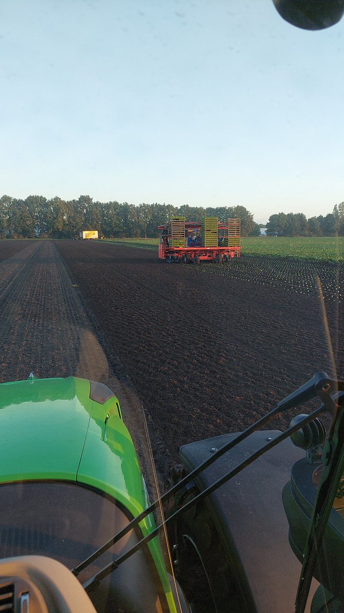 Start valeriaan planten.
<a href="/VnkHerbs/">VNK Herbs</a>
